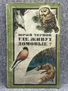 Чернов Юрий Владимирович / Где живут домовые? - Чернов Юрий Владимирович