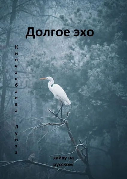 Обложка книги Долгое эхо, Луиза Кипчакбаева
