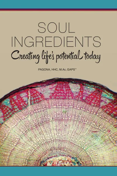 Обложка книги Soul Ingredients. Creating Life's Potential Today, Pagona Papadopoulos, Pagona