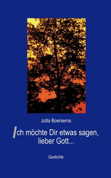 Обложка книги Ich mochte Dir etwas sagen, lieber Gott ..., Jutta Boersema