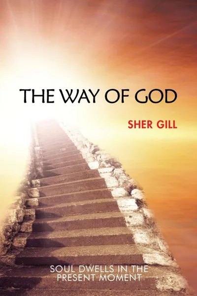 Обложка книги The Way of God. Soul Dwells in the Present Moment, Sher Gill