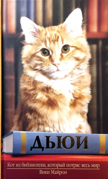Обложка книги Дьюи. Кот из библиотеки, который потряс весь мир, Вики Майрон