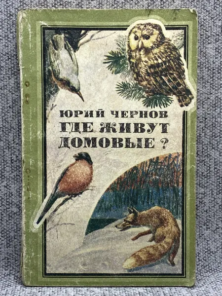 Обложка книги Чернов Юрий Владимирович / Где живут домовые?, Чернов Юрий Владимирович