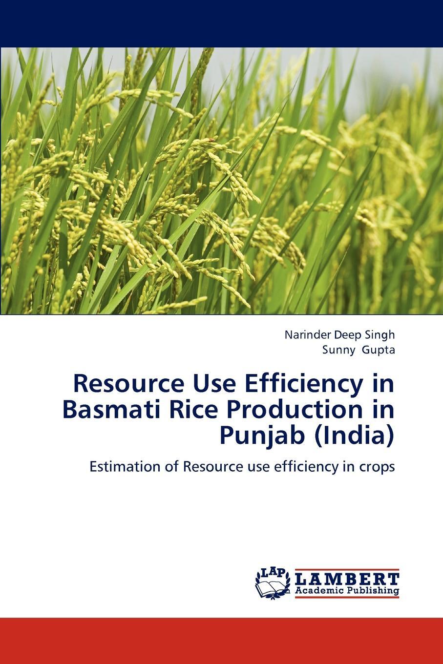 фото Resource Use Efficiency in Basmati Rice Production in Punjab (India)