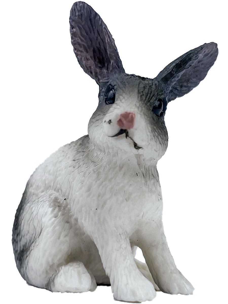 Кролик питер с булочкой. Rabbit s 1. Rabbit на английском. Кролики в австралии. Смешные зайчики.