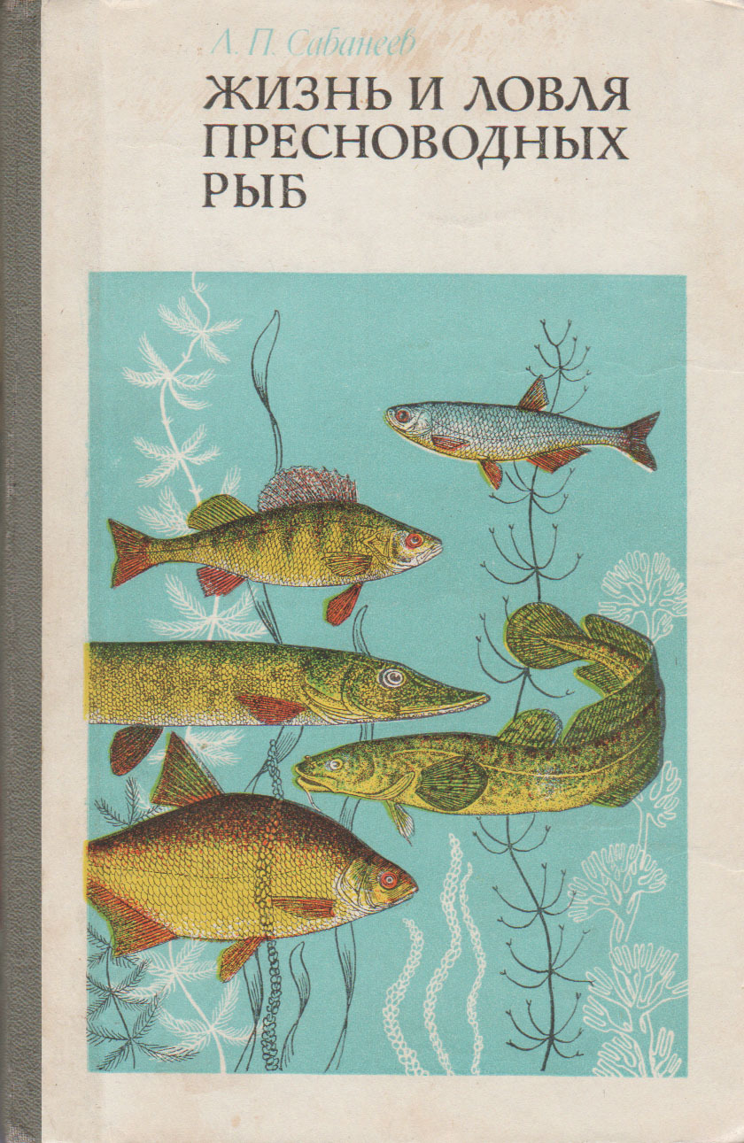 Жизнь пресноводных рыб сабанеев. Л П Сабанеев жизнь и ловля пресноводных рыб книга.