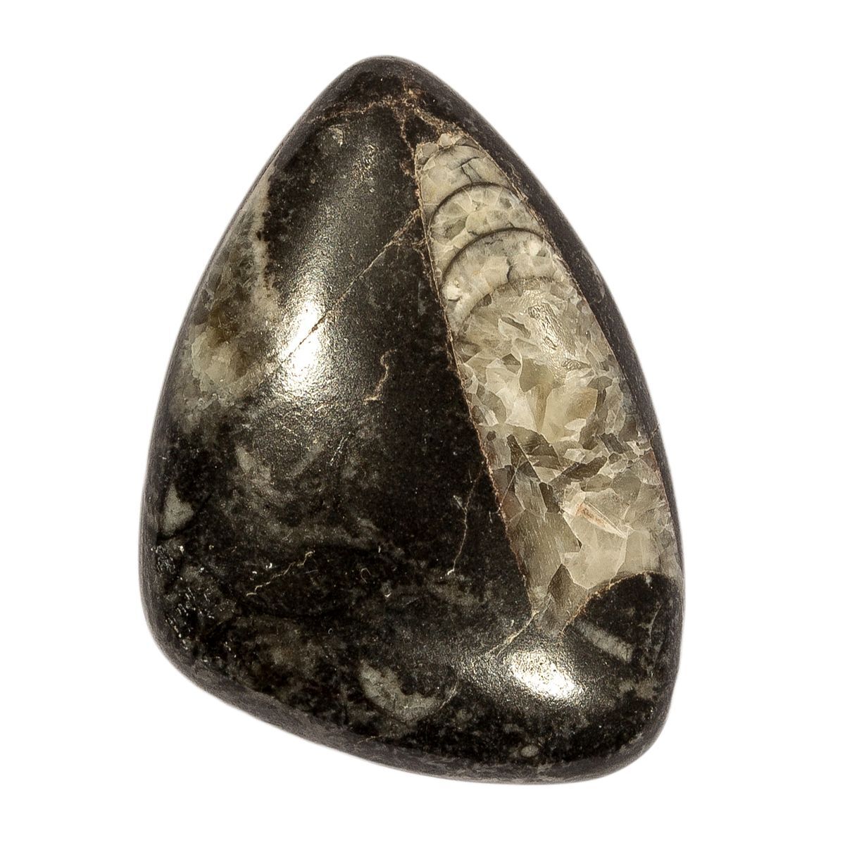 11 stone. Ортоцерас камень. Камень весов. Поделочный коричневый камень ортоцерас. Бусина ортоцерас.