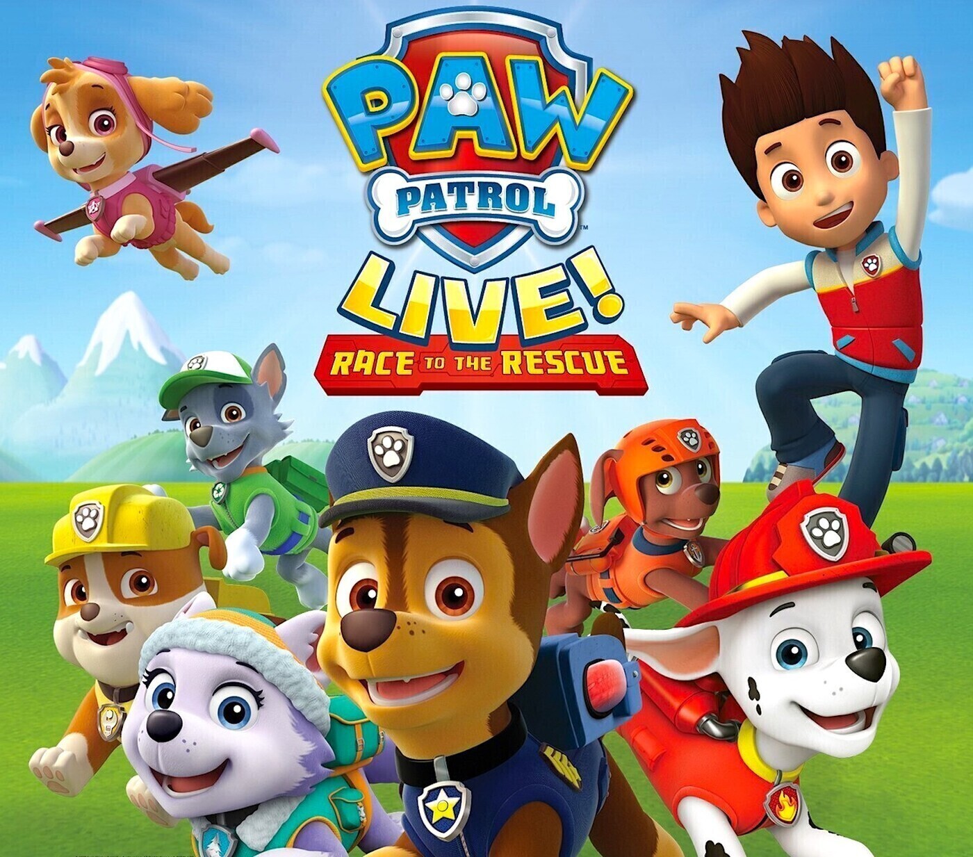 Щенячий патруль персонажи. Щенячий патруль. Щенячий патруль спасает мир. Торт щенячий патруль для мальчика. Щенячий патруль мегащенки 2.