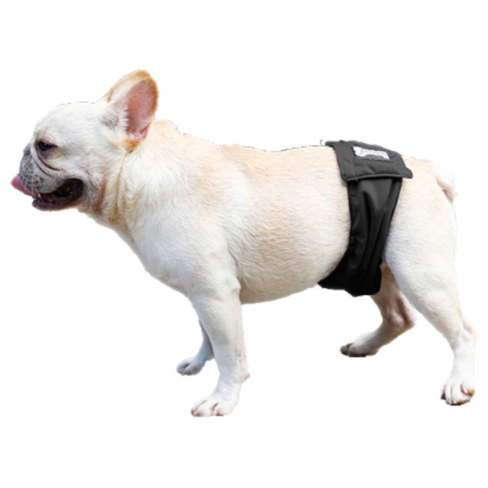 Трусы для собак многоразовые, трусы для кобелей, подгузник для собак Mr ...