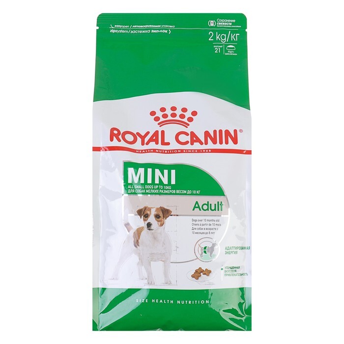 Корм royal canin для мелких собак. Royal Canin Mini 8 кг. Роял Канин мини Эдалт для собак мелких пород. Сухой корм Royal Canin Mini Adult. Корм Роял Канин для собак мелких пород 8 кг.