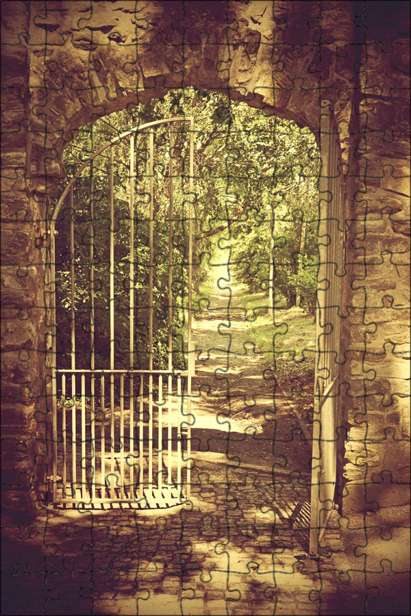 Дверь ворота открытая. Открытая дверь. Дверь в природу. Открытые старинные двери. Открытые сказочные ворота.