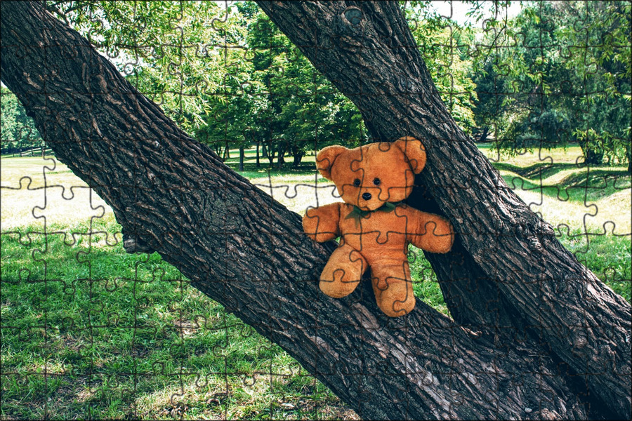 Tree bears are