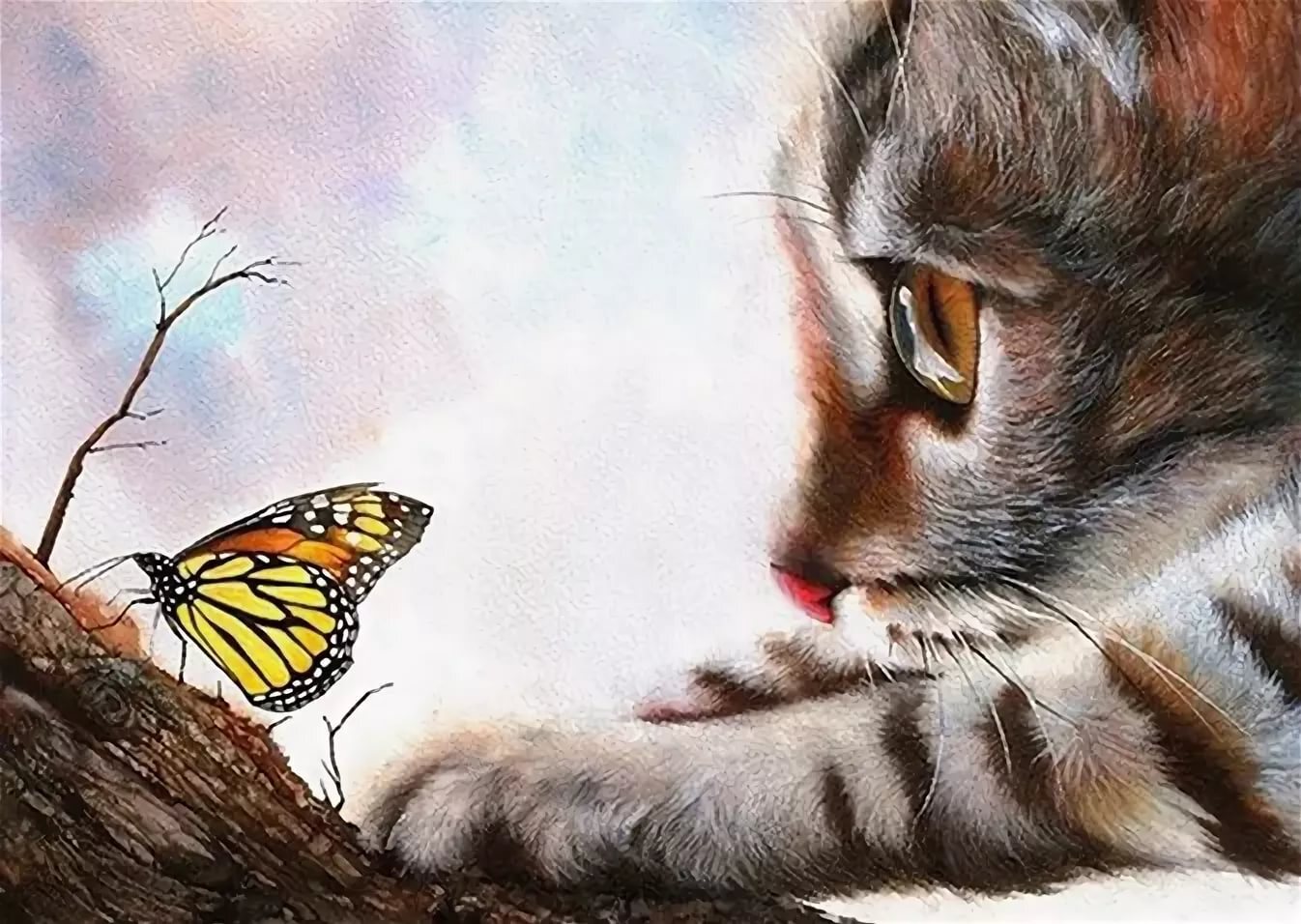 Алмазная мозаика котенок и бабочка