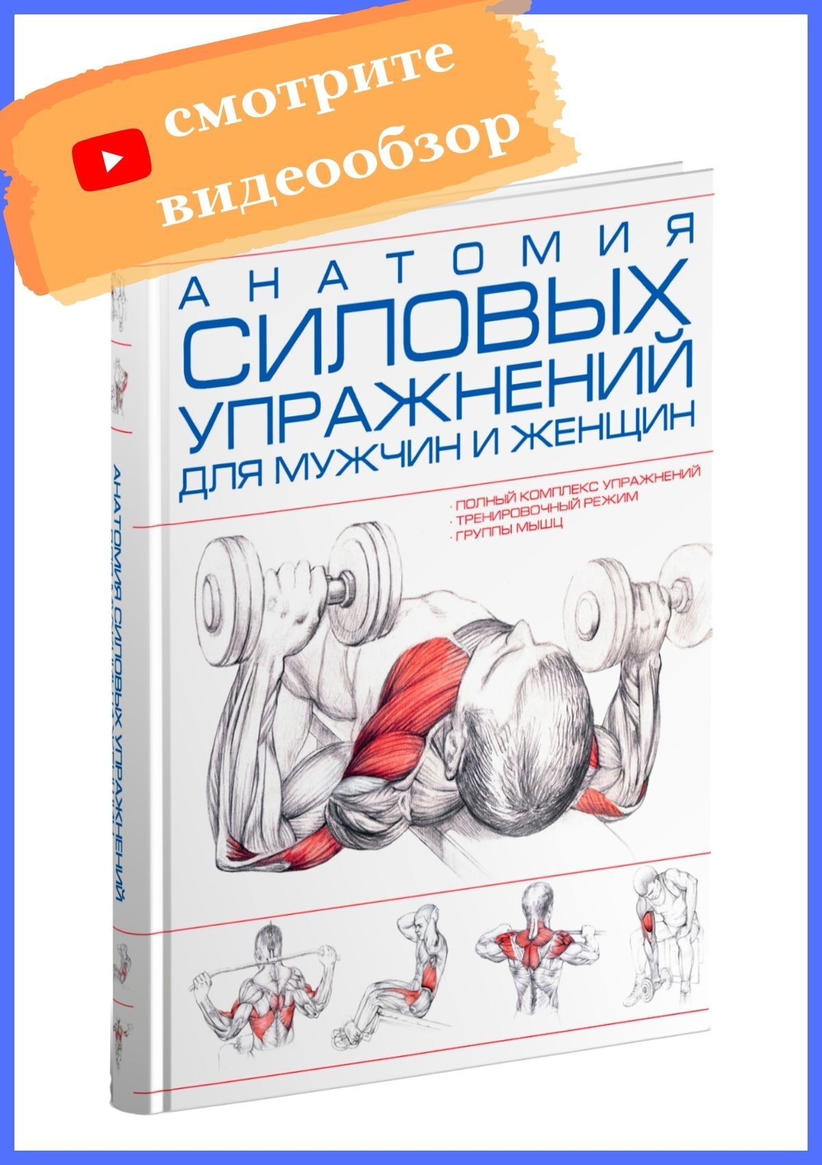 Анатомия силовых упражнений. Книга анатомия силовых упражнений. Анатомия силовых упражнений для мужчин и женщин книга. Анатомия силовых упражнений для мужчин.