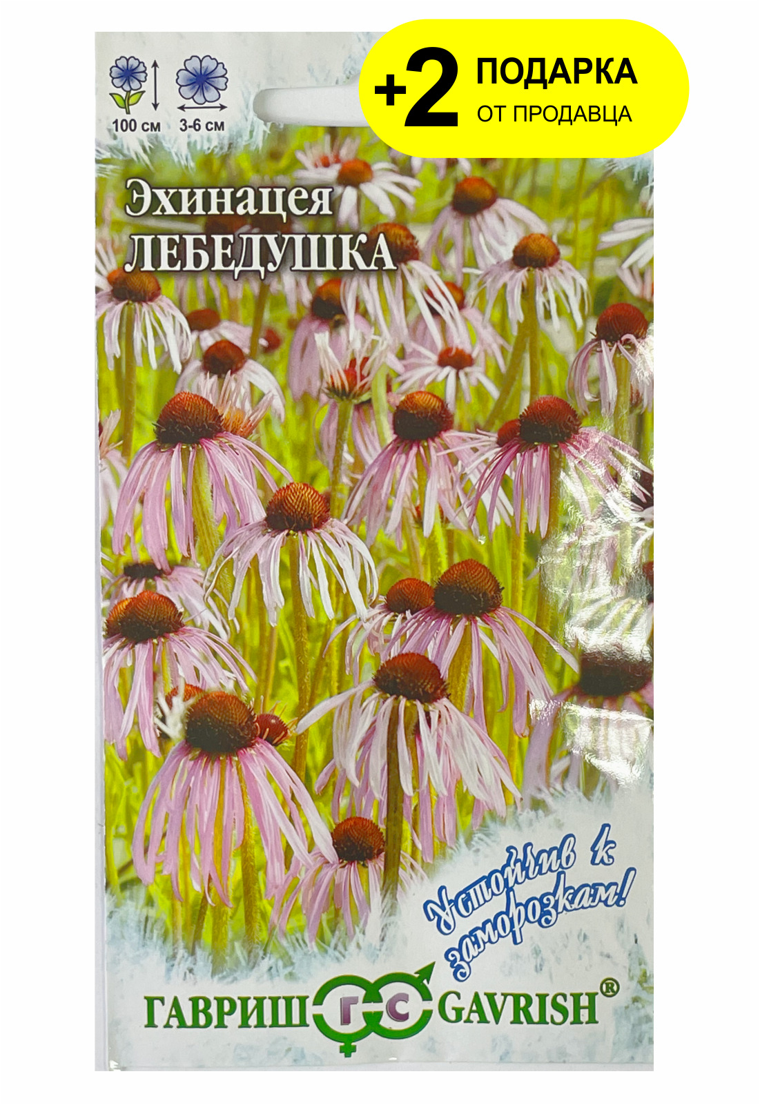 Эхинацея Цветок Купить Семена Многолетней На Авито