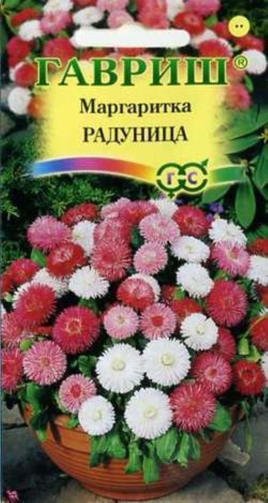 Маргаритки Семена Купить