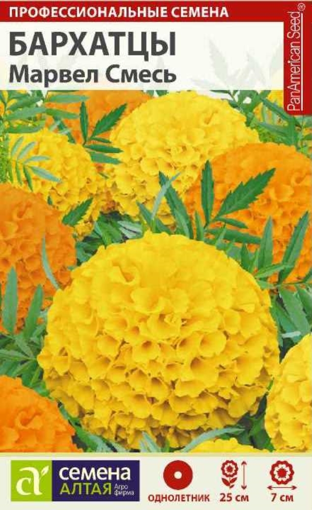 Бархатцы Синие Купить Семена