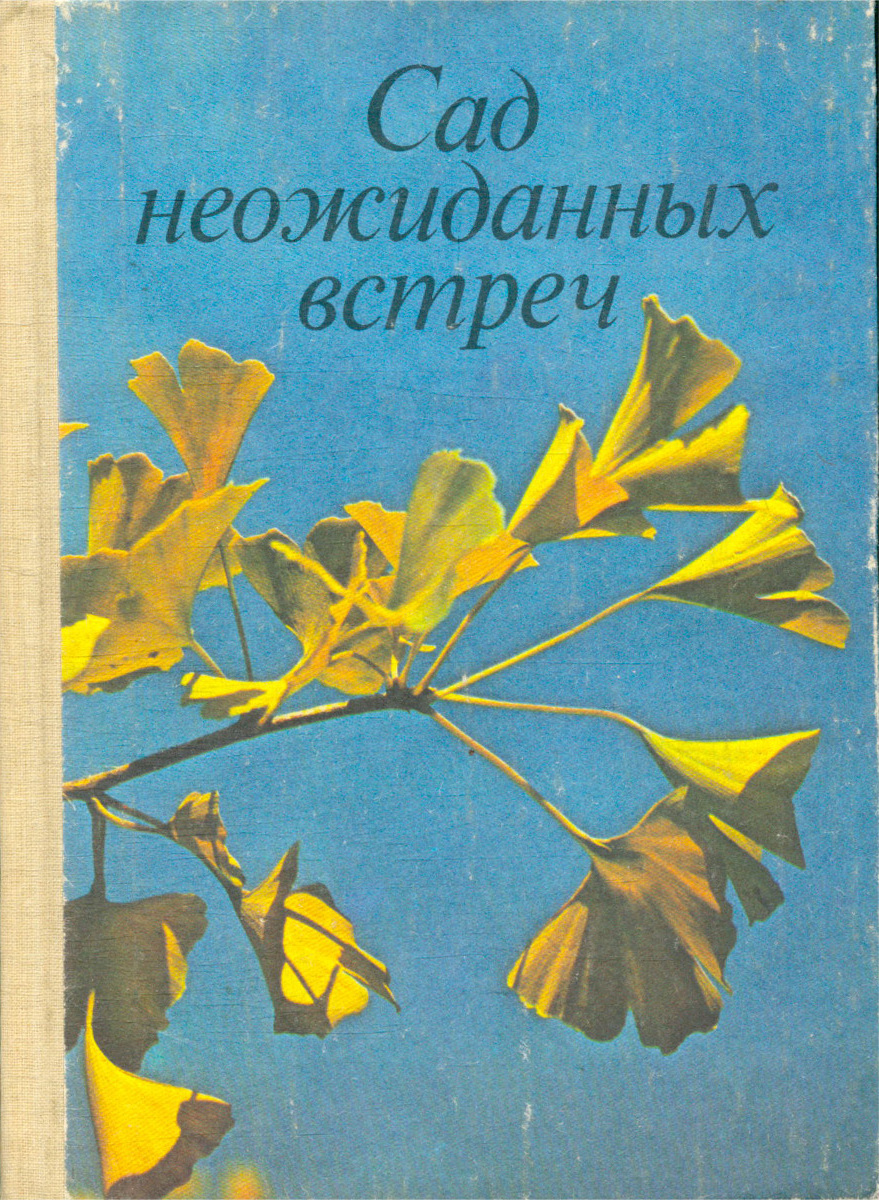 Книга сад. Неожиданная встреча книга. Буруковская Татьяна Григорьевна. Буруковская Татьяна Григорьевна биография.