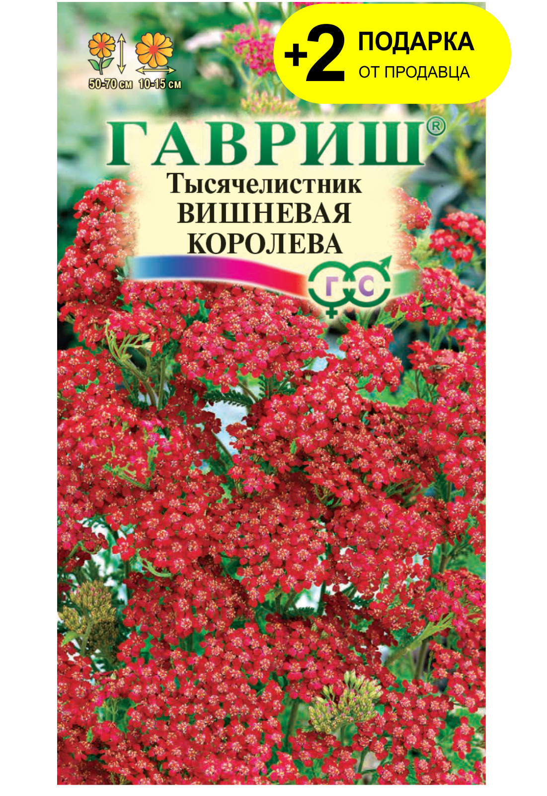 Вишневая королева. Тысячелистник Вишневая Королева Гавриш. Семена Гавриш тысячелистник Вишневая Королева 0,1 г. Гавриш тысячелистник Вишневая Королева* 0,1 г. Тысячелистник (Гавриш) Паркерс Варитет.