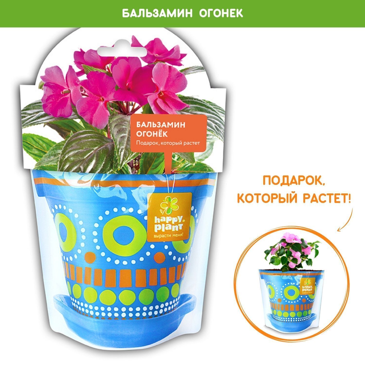 Набор для выращивания Happy Plant, Бальзамины однолетние, Однолетник купить  по выгодной цене в интернет-магазине OZON (154437050)