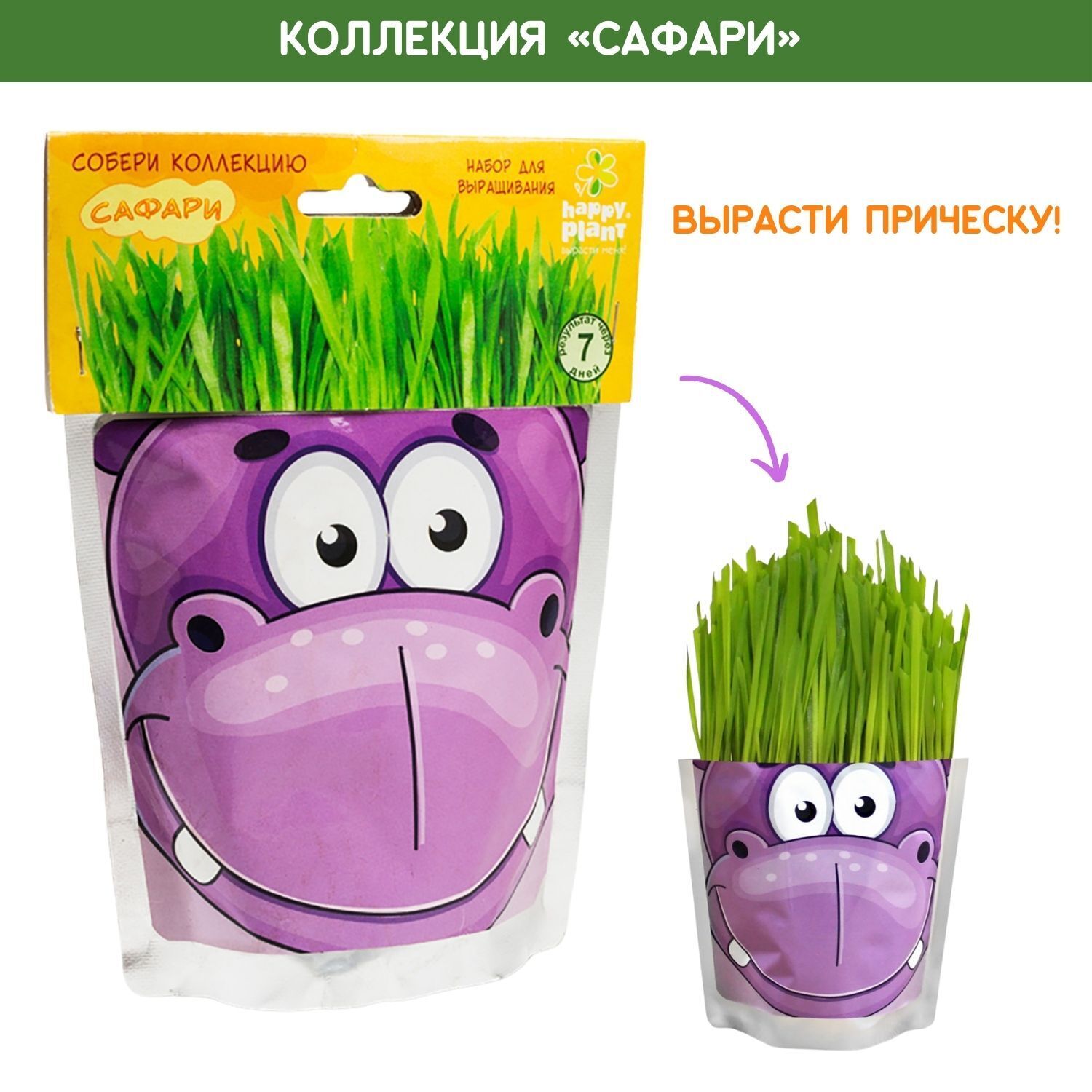 Набор для выращивания Happy Plant, Различные травы, Однолетник купить по  выгодной цене в интернет-магазине OZON (149273173)