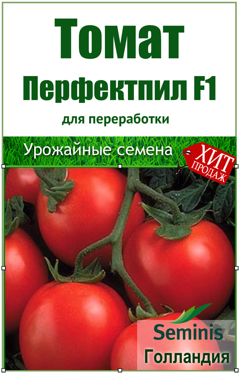 Семена томат Перфектпил f1 отзывы