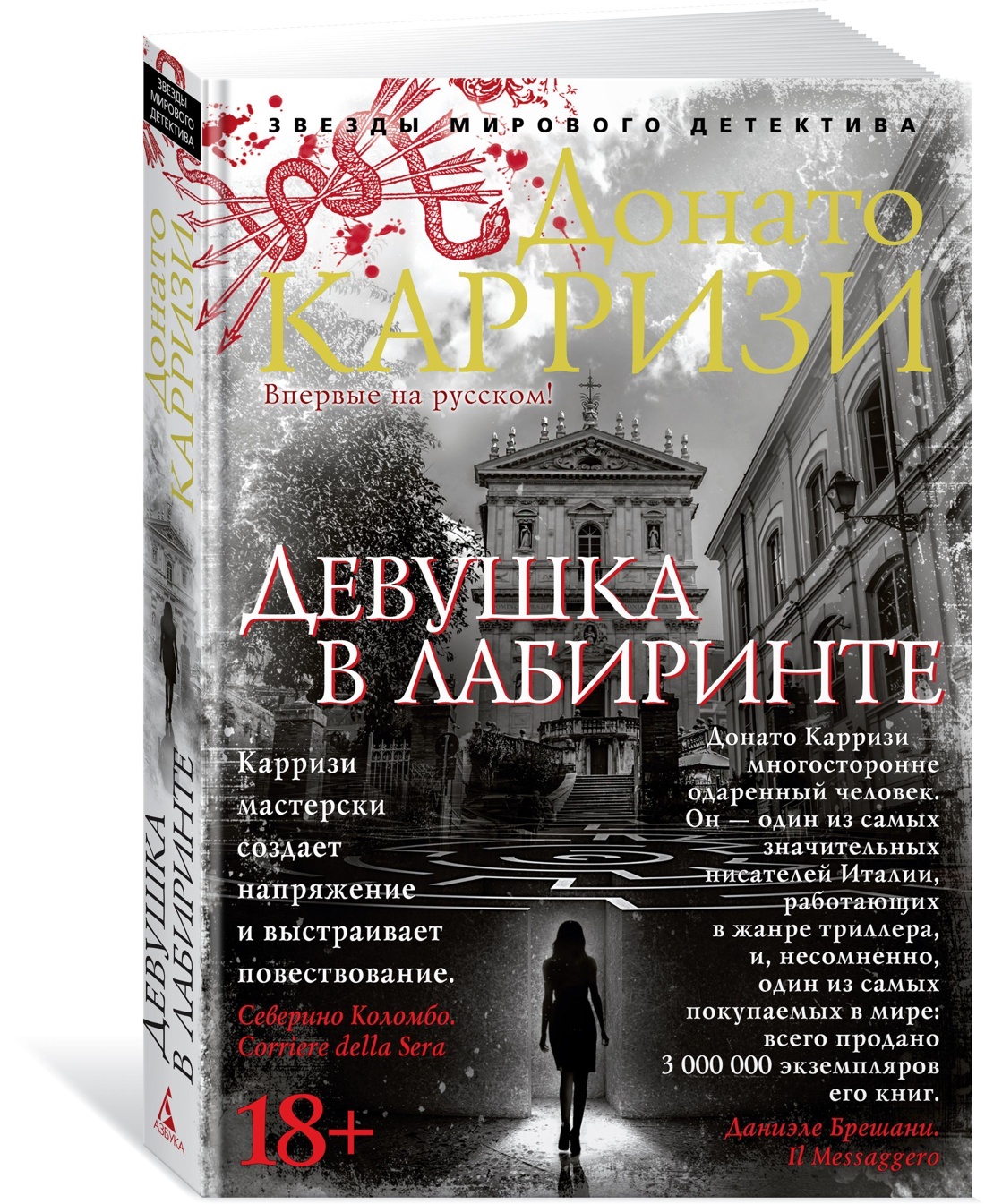 Карризи книги. Цикл про Милу Васкес Донато Карризи. Донато Карризи романы. Девушка в лабиринте Донато Карризи книга. Серия мирового детектива Донато Карризи.