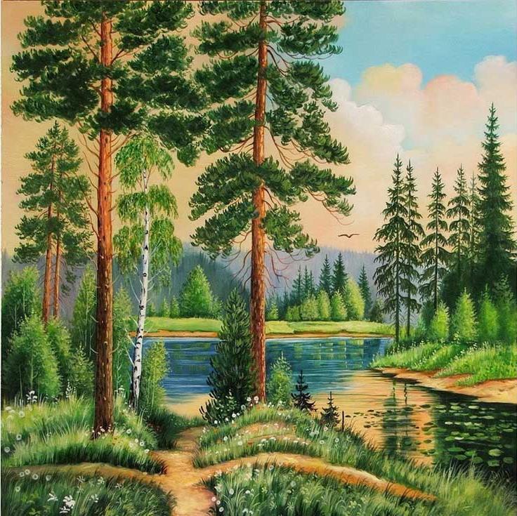 Лесная красота рисунок