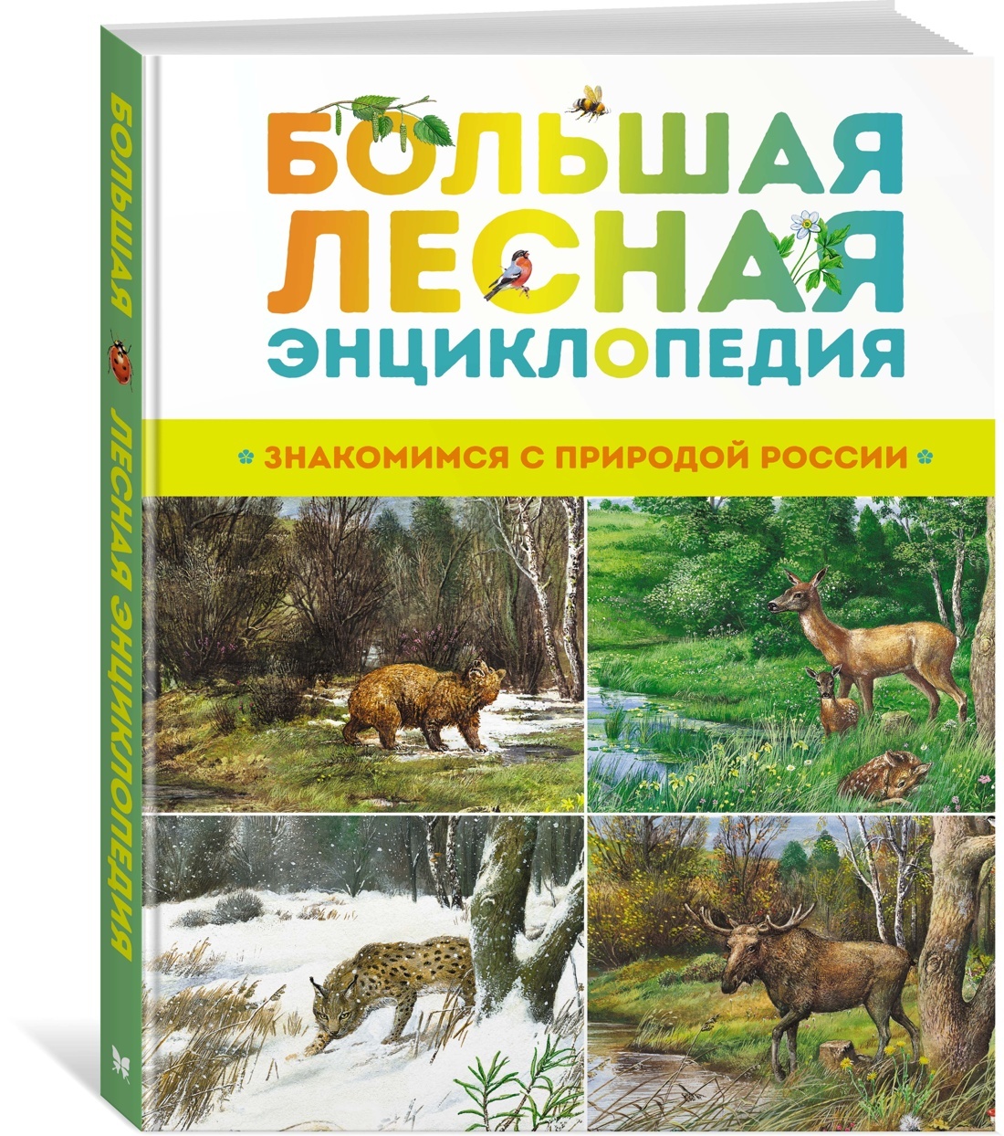 Большая лесная энциклопедия. Знакомимся с природой России | Тихонов Александр Васильевич