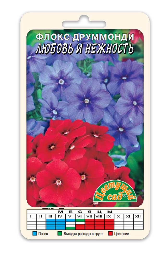Флоксы Однолетние Купить Семена