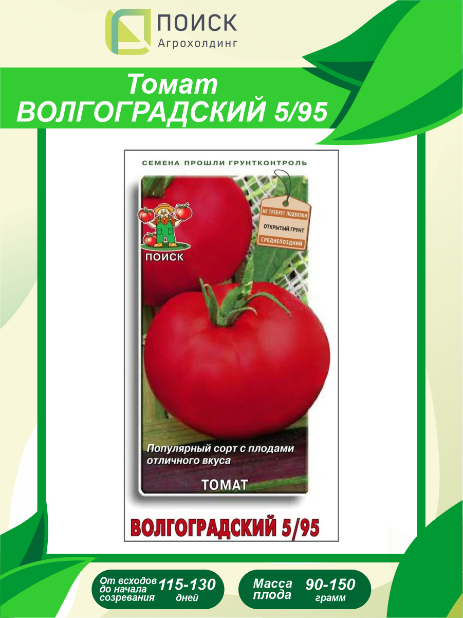 Волгоградский помидоры описание. Томат Волгоградский скороспелый. Томат Волгоградский позднеспелый. Помидор Волгоградский 5/95. Томат Волгоградский 5/95.