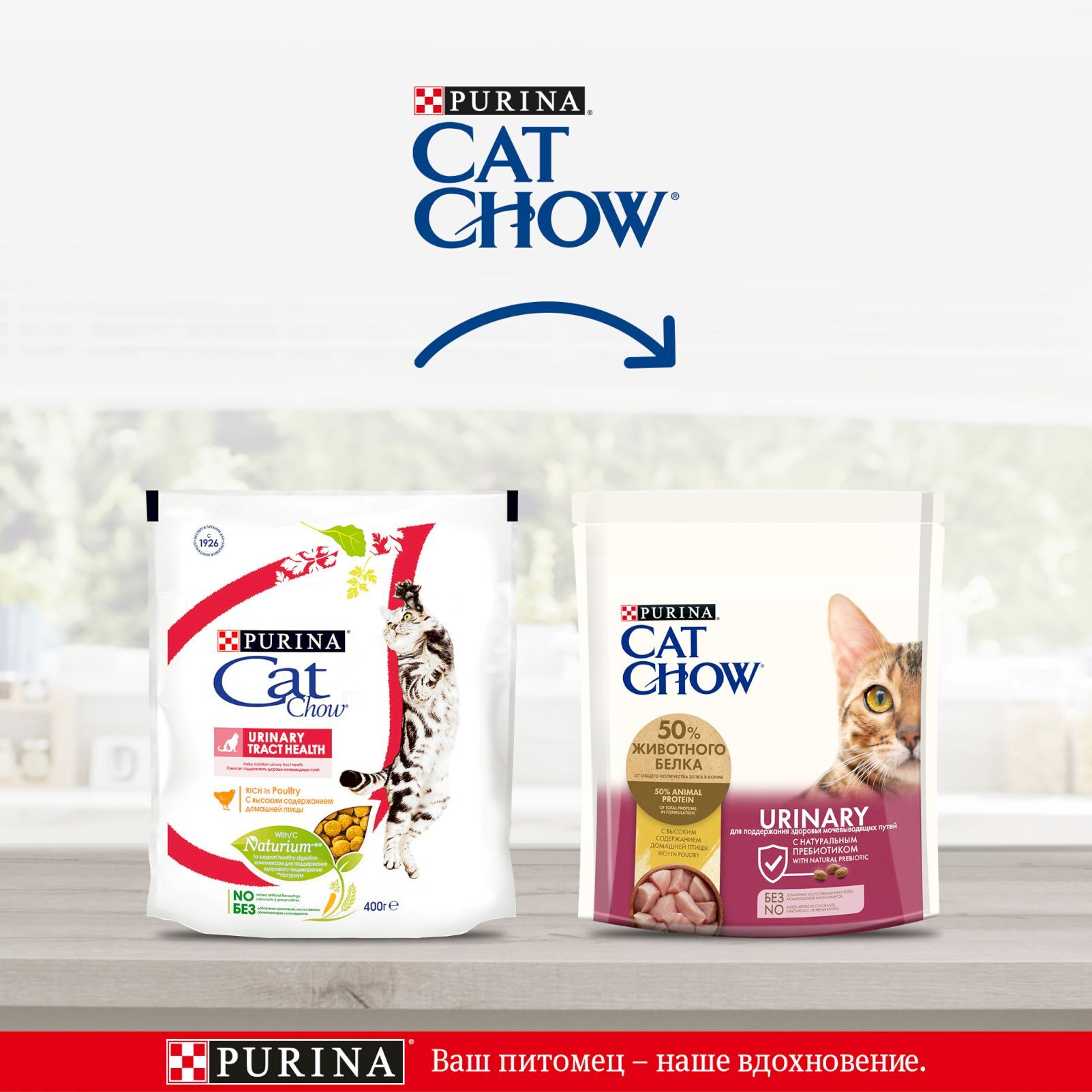 Купить Корм Cat Chow В Спб