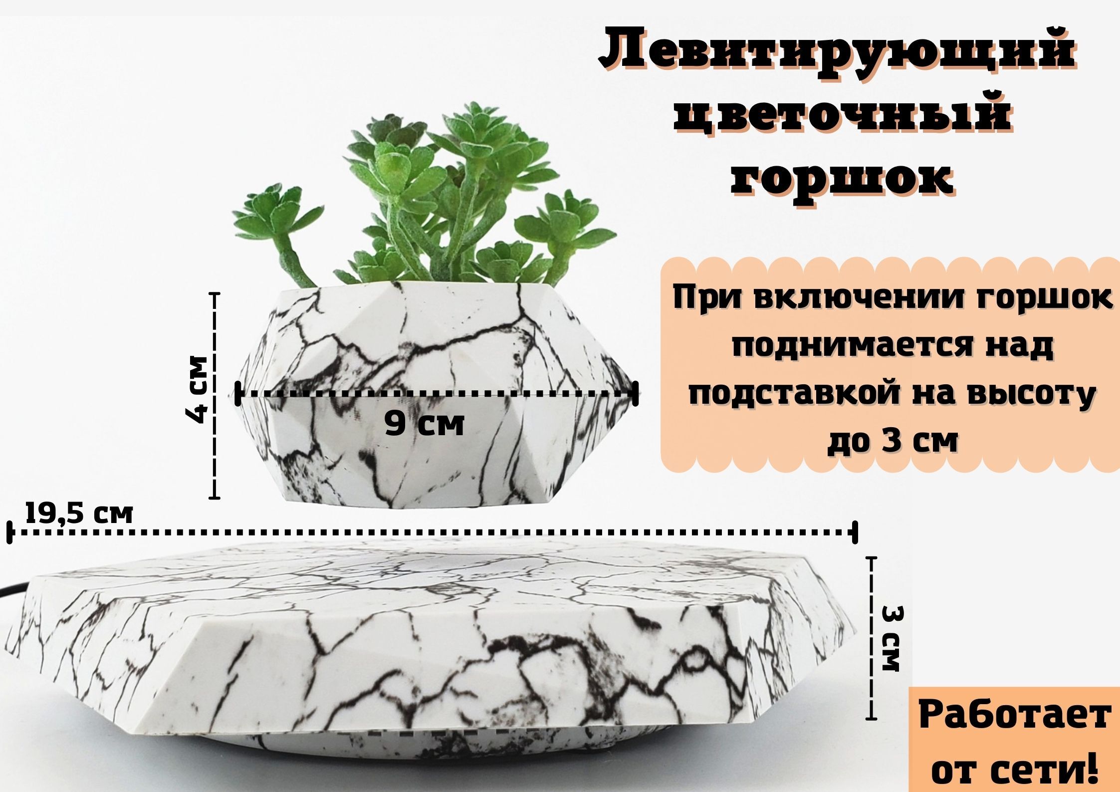 Левитирующий Горшок С Растением Купить В Москве