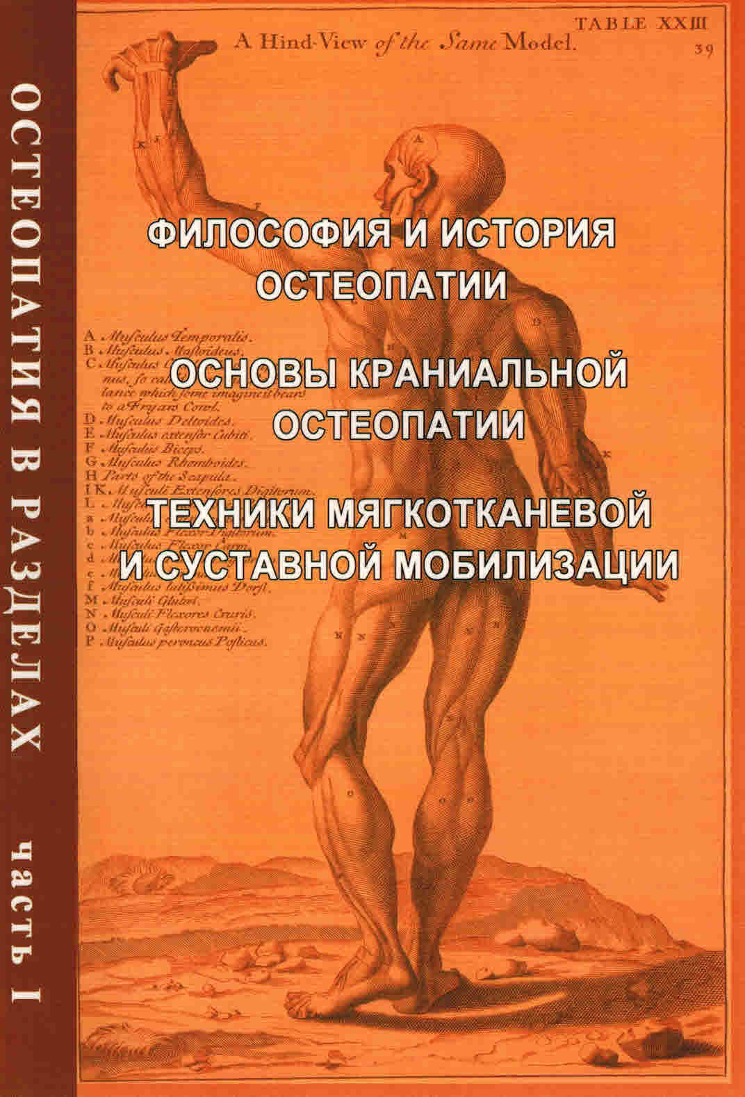 Остеопатия в разделах. Часть 1. Философия и история остеопатии. Основы  краниальной остеопатии. Техники мягкотканевой и суставной мобилизации -  купить с доставкой по выгодным ценам в интернет-магазине OZON (584475551)