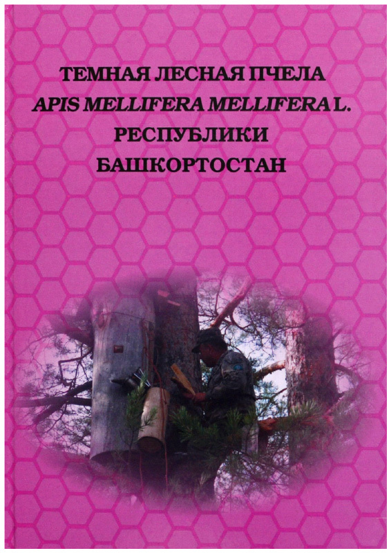 Темная лесная пчела Apis mellifera mellifera L. Республики Башкортостан