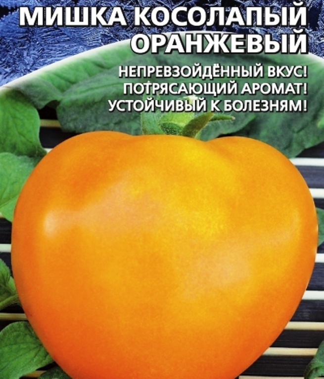 Томат сорт мишка косолапый отзывы фото