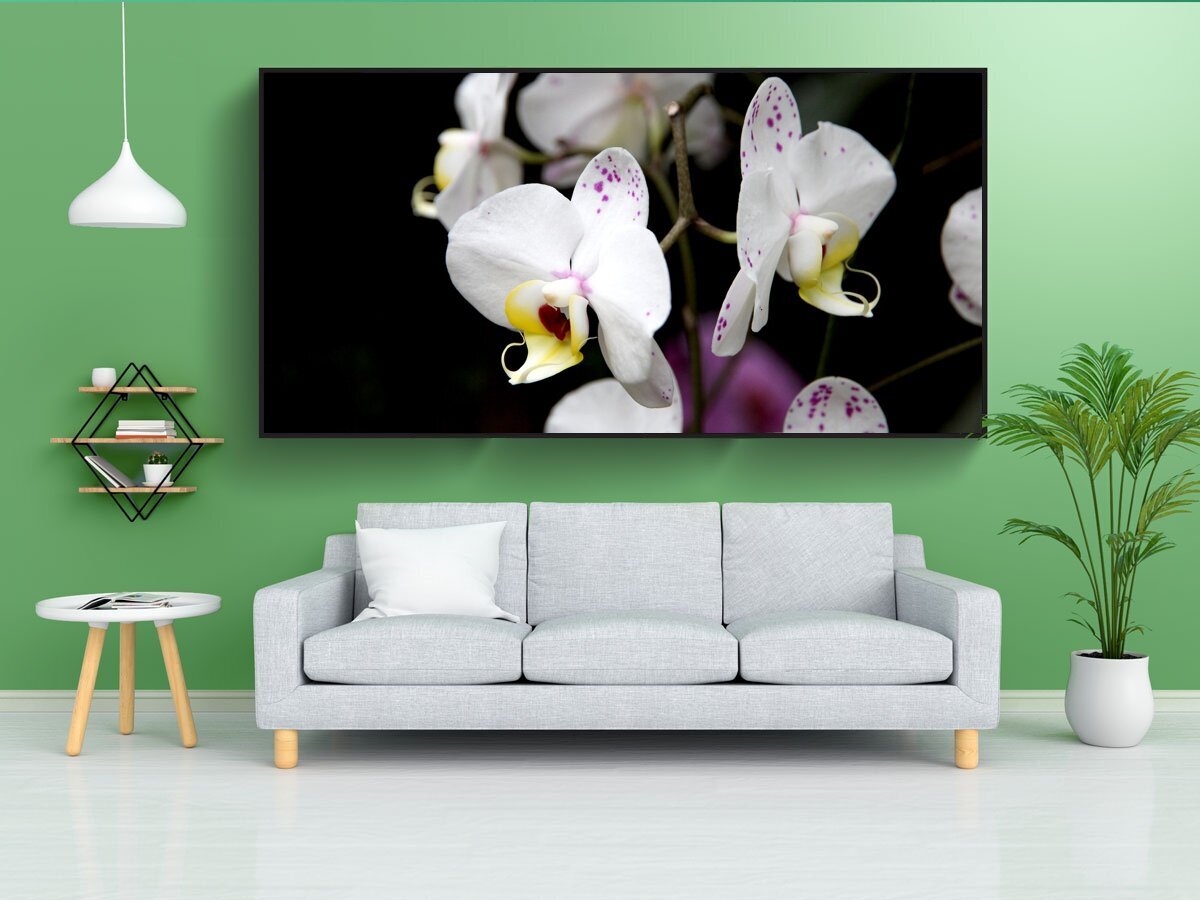 Картины с орхидеями в интерьере по фен шуй