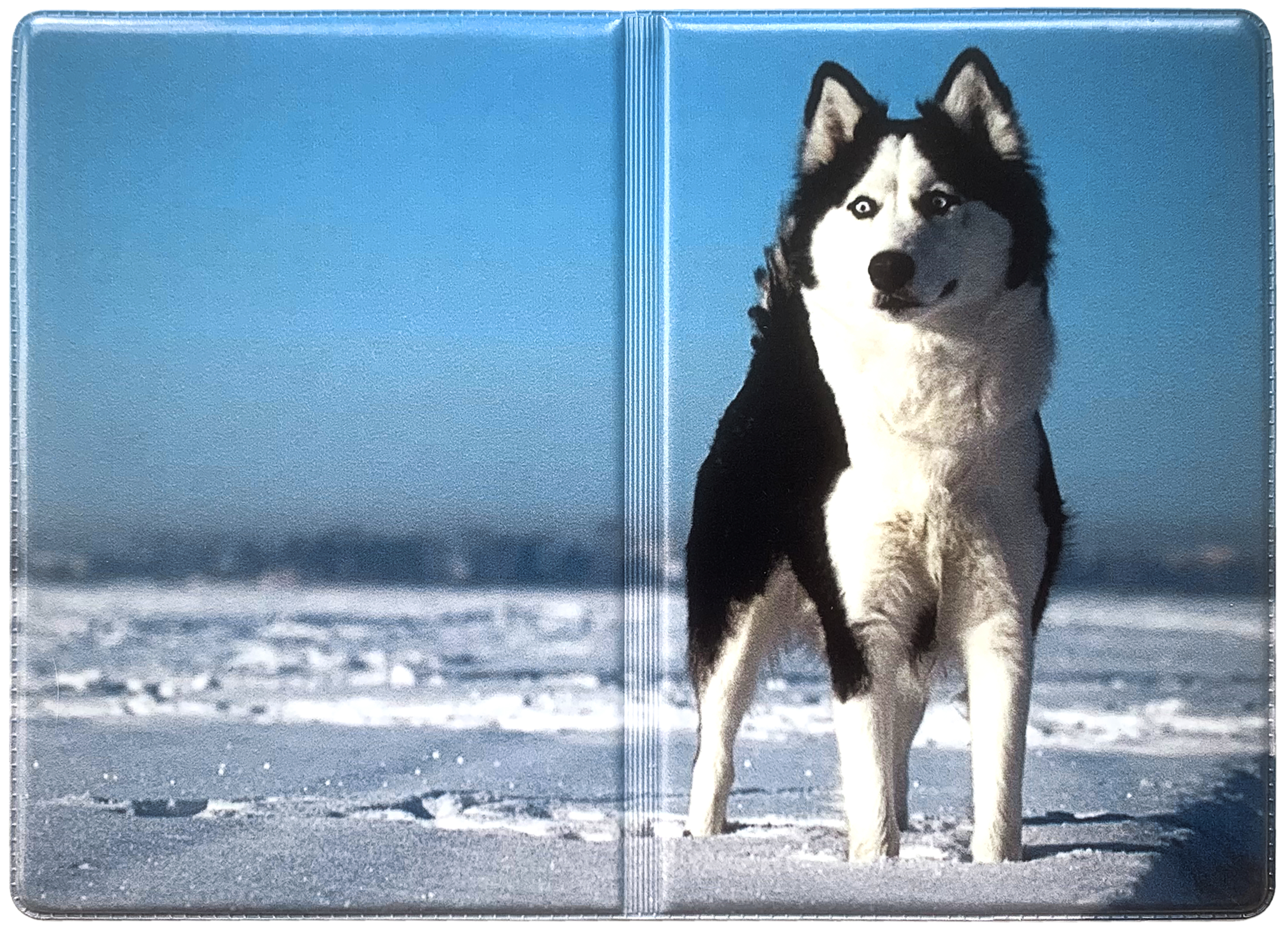 Новая реклама лайка. Сибирский хаски. Порода хаски. Сибирский хаски породы собак. Хаски порода хаски.