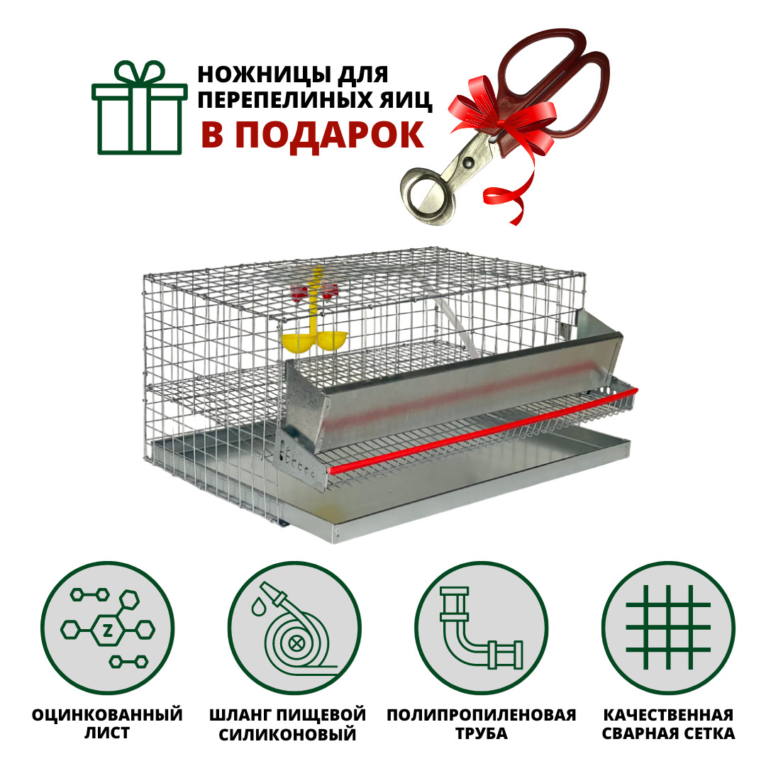 Как сделать клетки для перепелов своими руками: чертежи и пошаговые инструкции + фото и видео