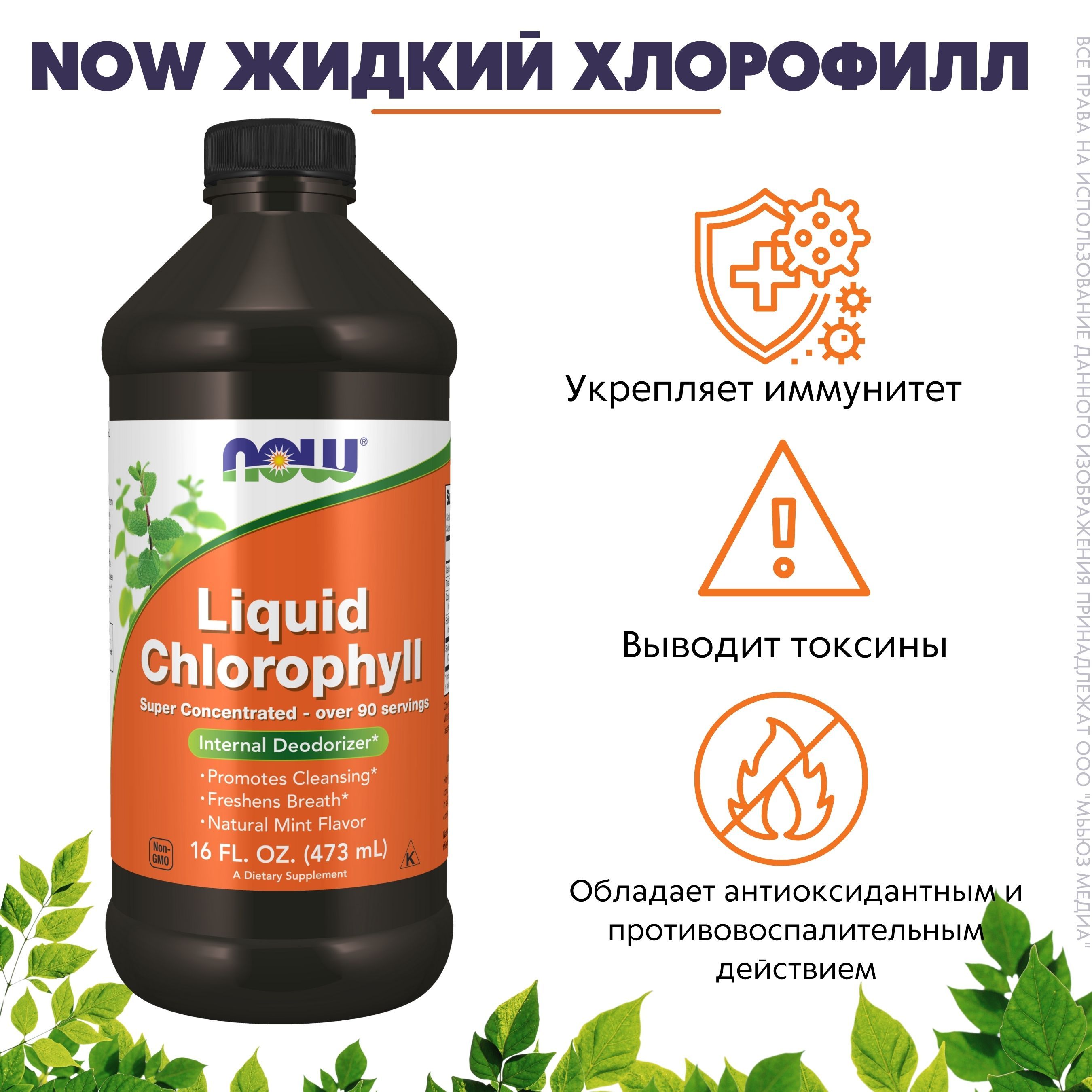 Польза жидкого хлорофилла отзывы. Хлорофилл жидкий НСП. Хлорофилл NSP. БАД хлорофилл жидкий. Now Liquid Chlorophyll.