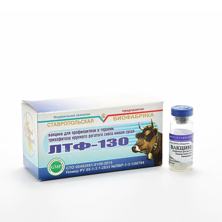 Вакцина ЛТФ 130 ( 10 доз ). ЛТФ 130 вакцина для КРС. Вакцина против трихофитоза крупного рогатого скота «ЛТФ-201 АРМ». Вакцинация телят ЛТФ-130.
