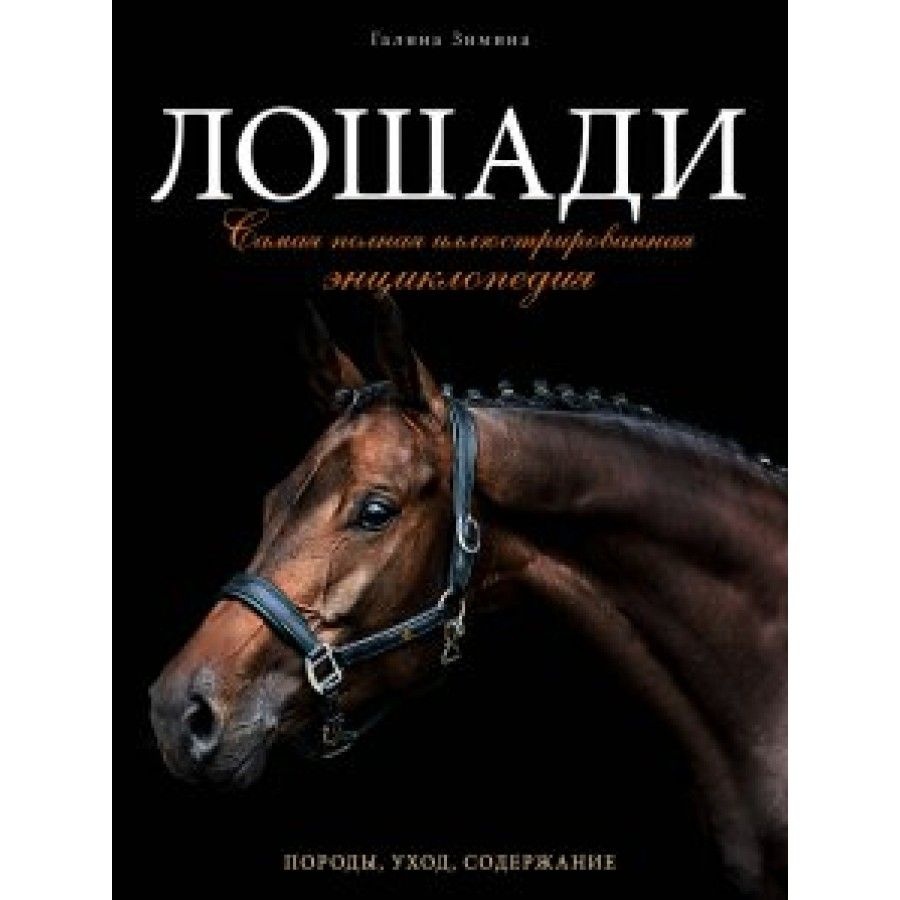 Книги верховая. Лошади: энциклопедия. Лошади большой иллюстрированный гид. Книги про лошадей. Книга кони.