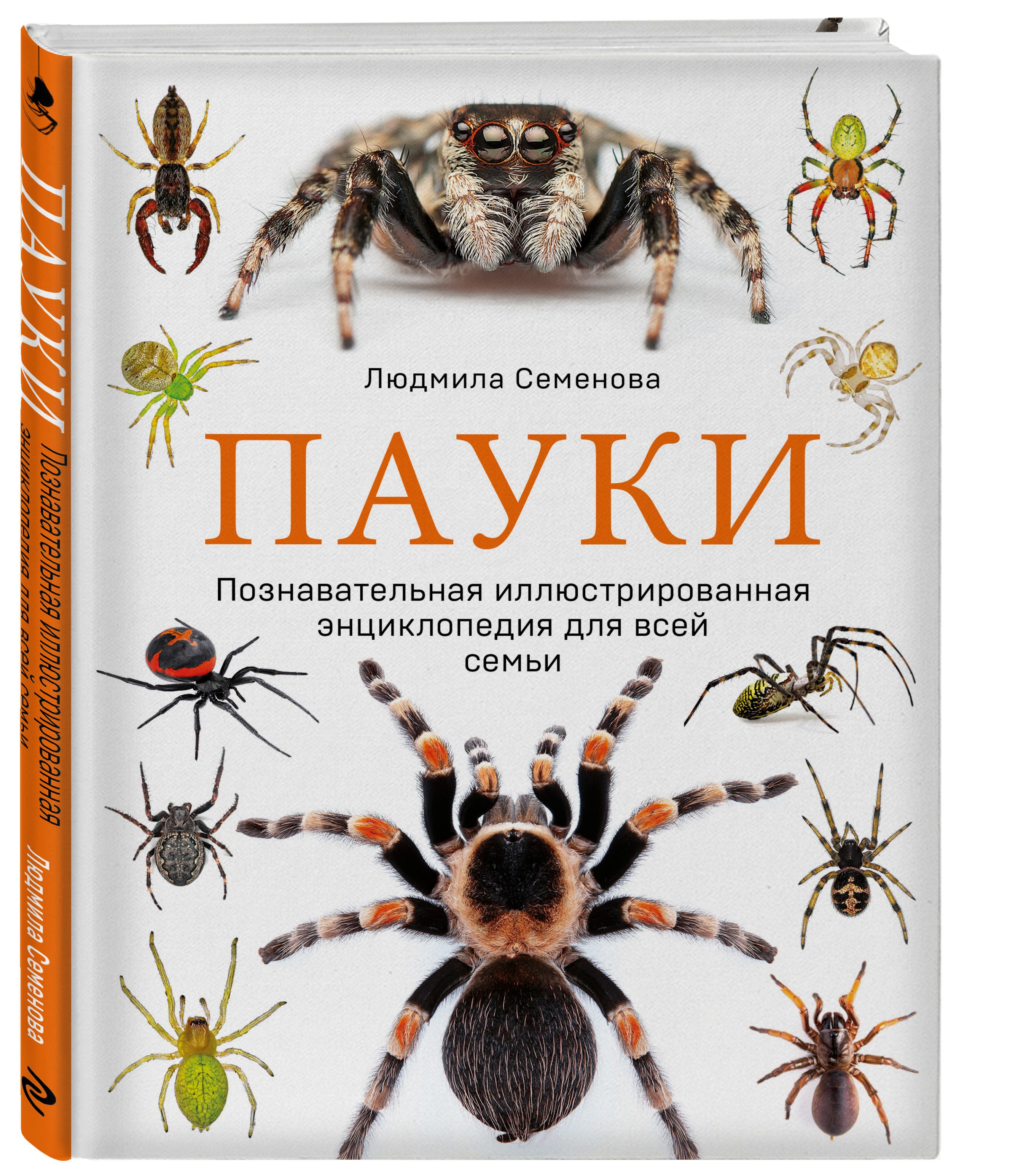 Пауки: Познавательная иллюстрированная энциклопедия для всей семьи - купить  с доставкой по выгодным ценам в интернет-магазине OZON (878133786)