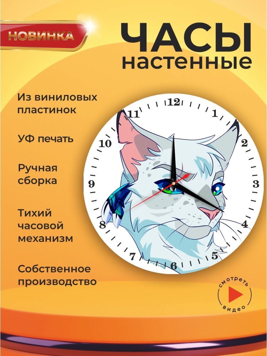Кот который час. Котик и часы. часовой кот.