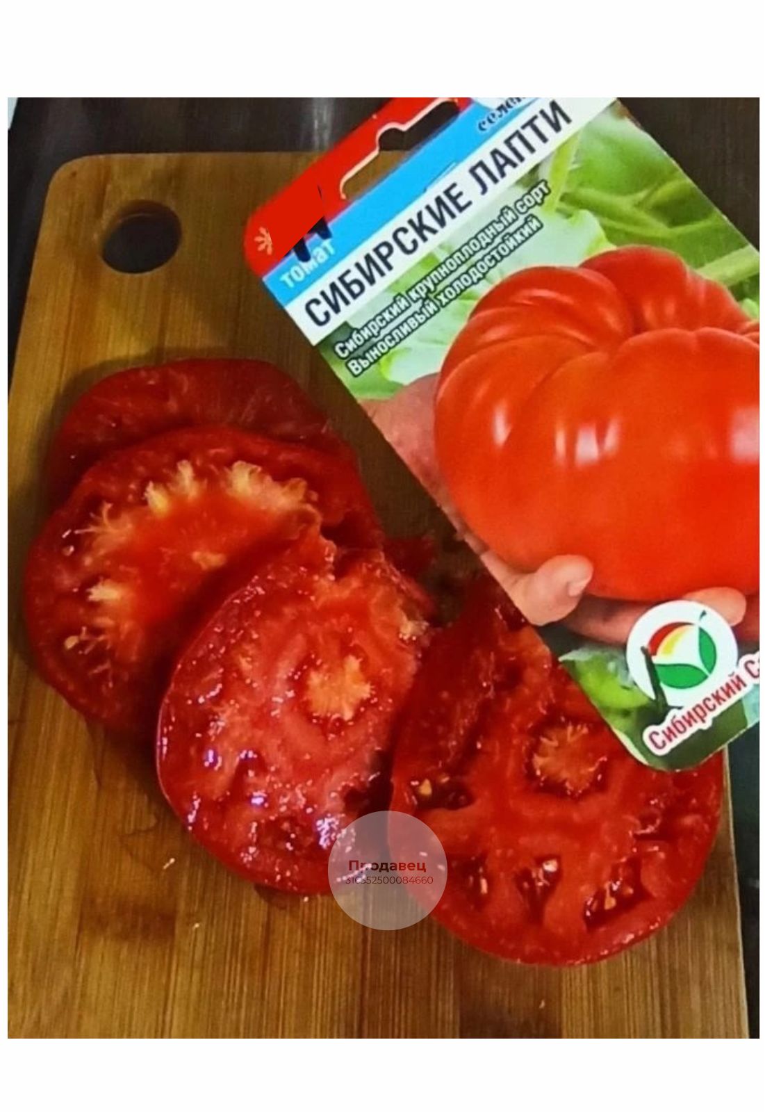 помидоры сибирские фото