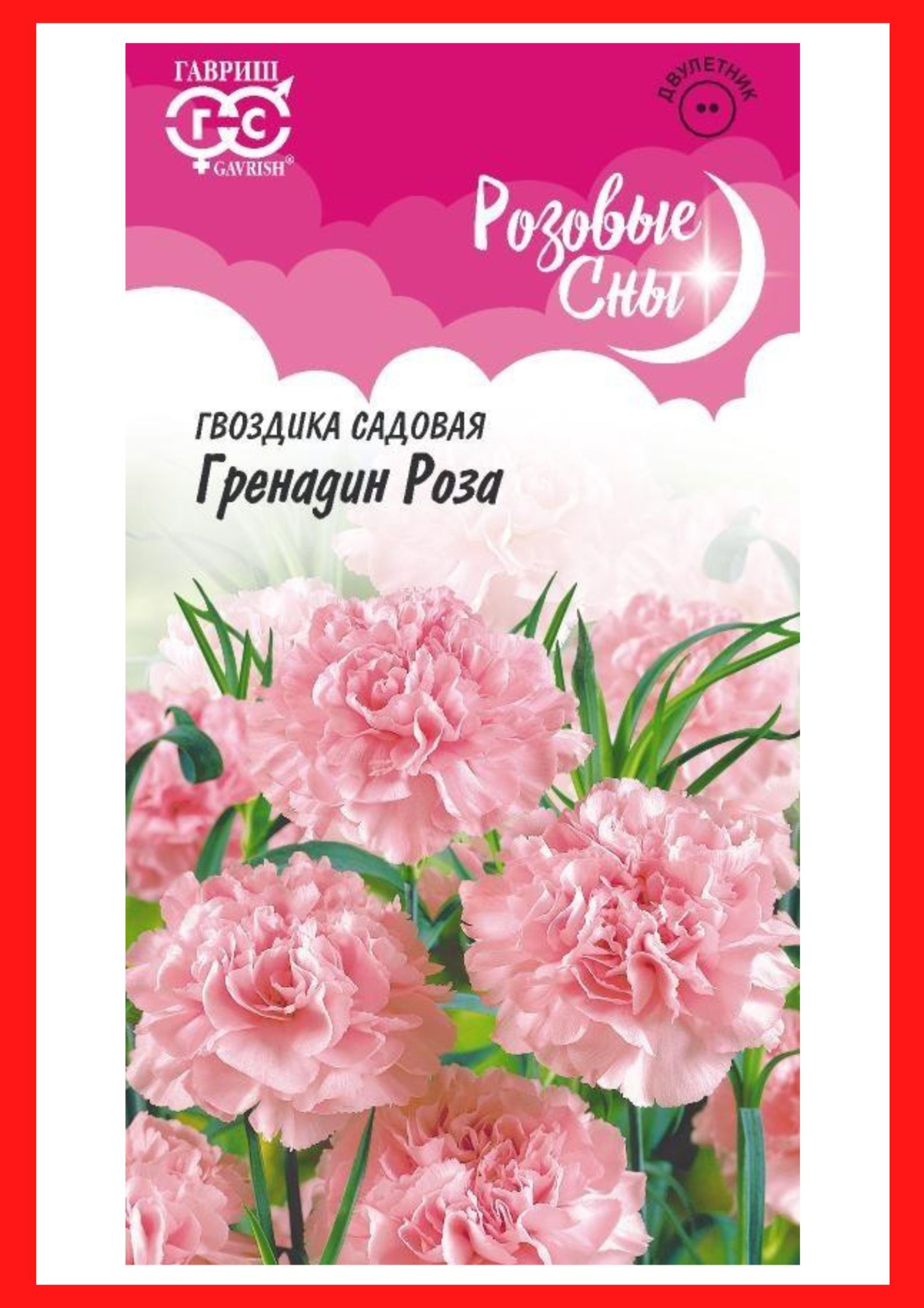 Семена Роз Купить Многолетние