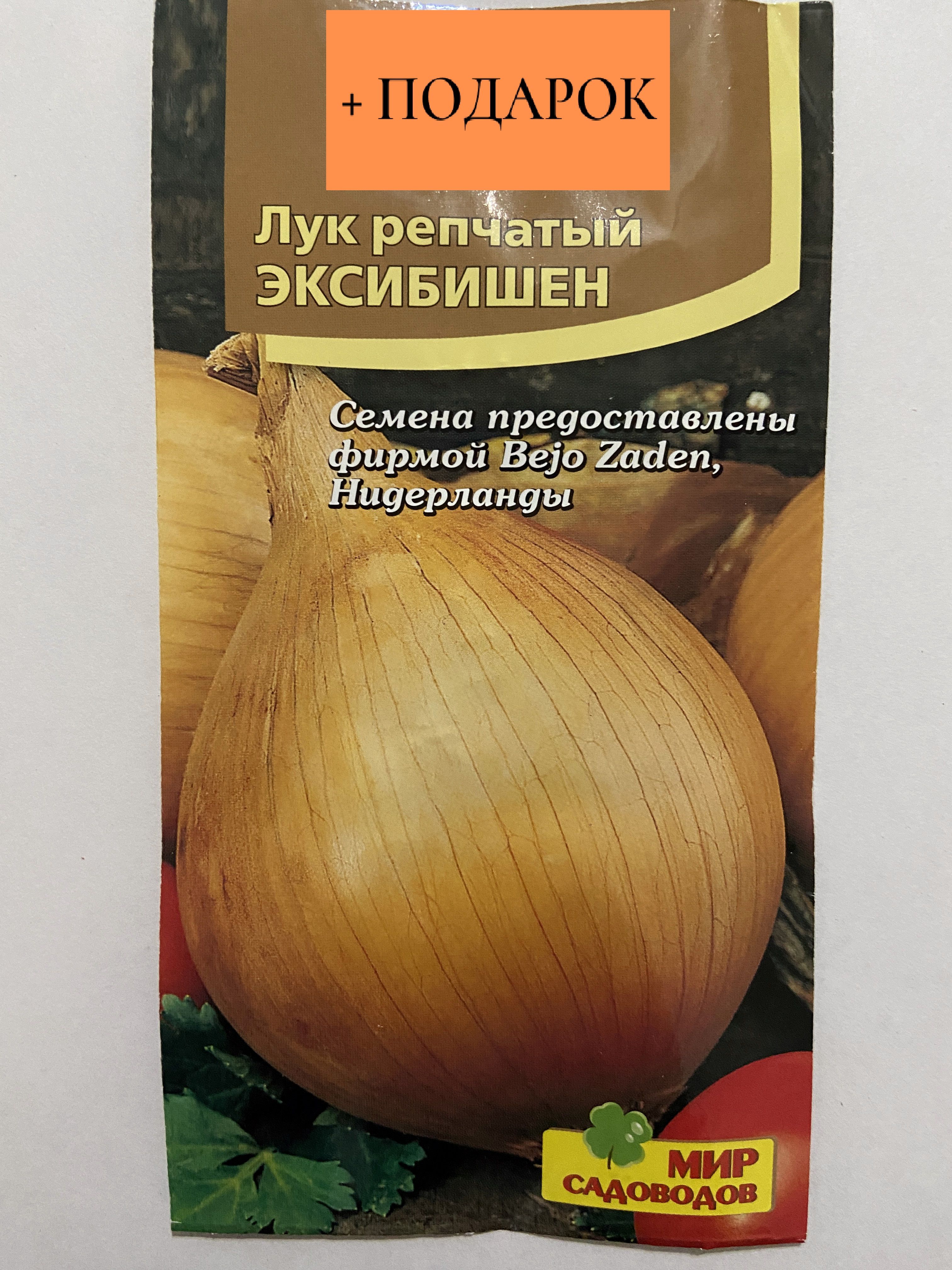 Лук эксибишен семена отзывы. Арзамасский лук севок. Лук Эксибишен отзывы. Лук садовник.