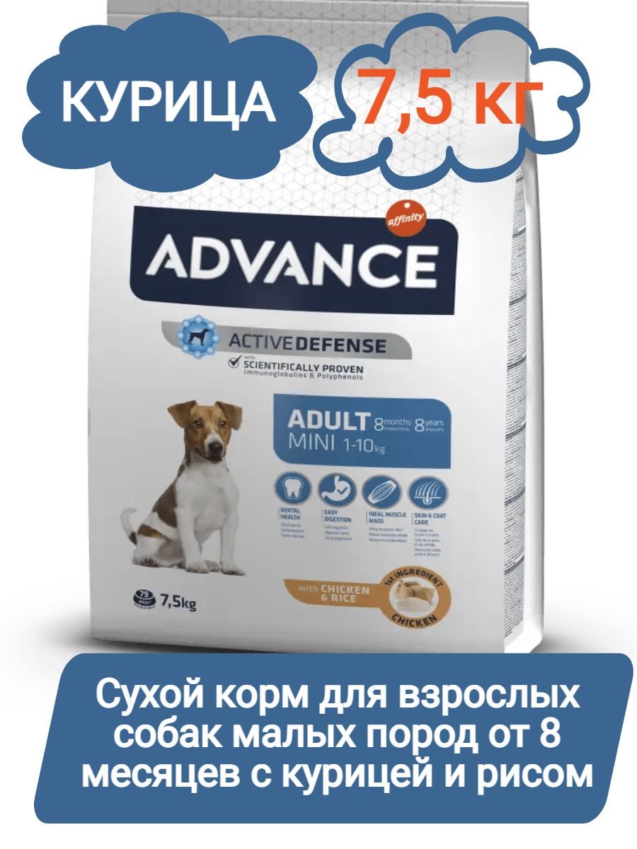 Advance Dog Mini Adult Сухой корм для взрослых собак малых пород от 8  месяцев с курицей и рисом, 7,5кг - купить с доставкой по выгодным ценам в  интернет-магазине OZON (815488968)