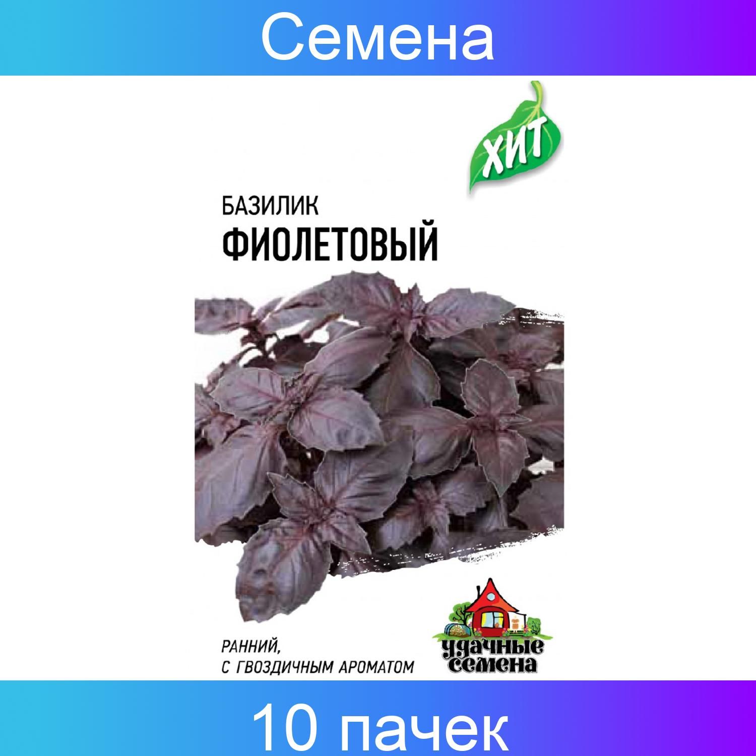 Базилик фиолетовый для чего. Базилик фиолетовый для чего