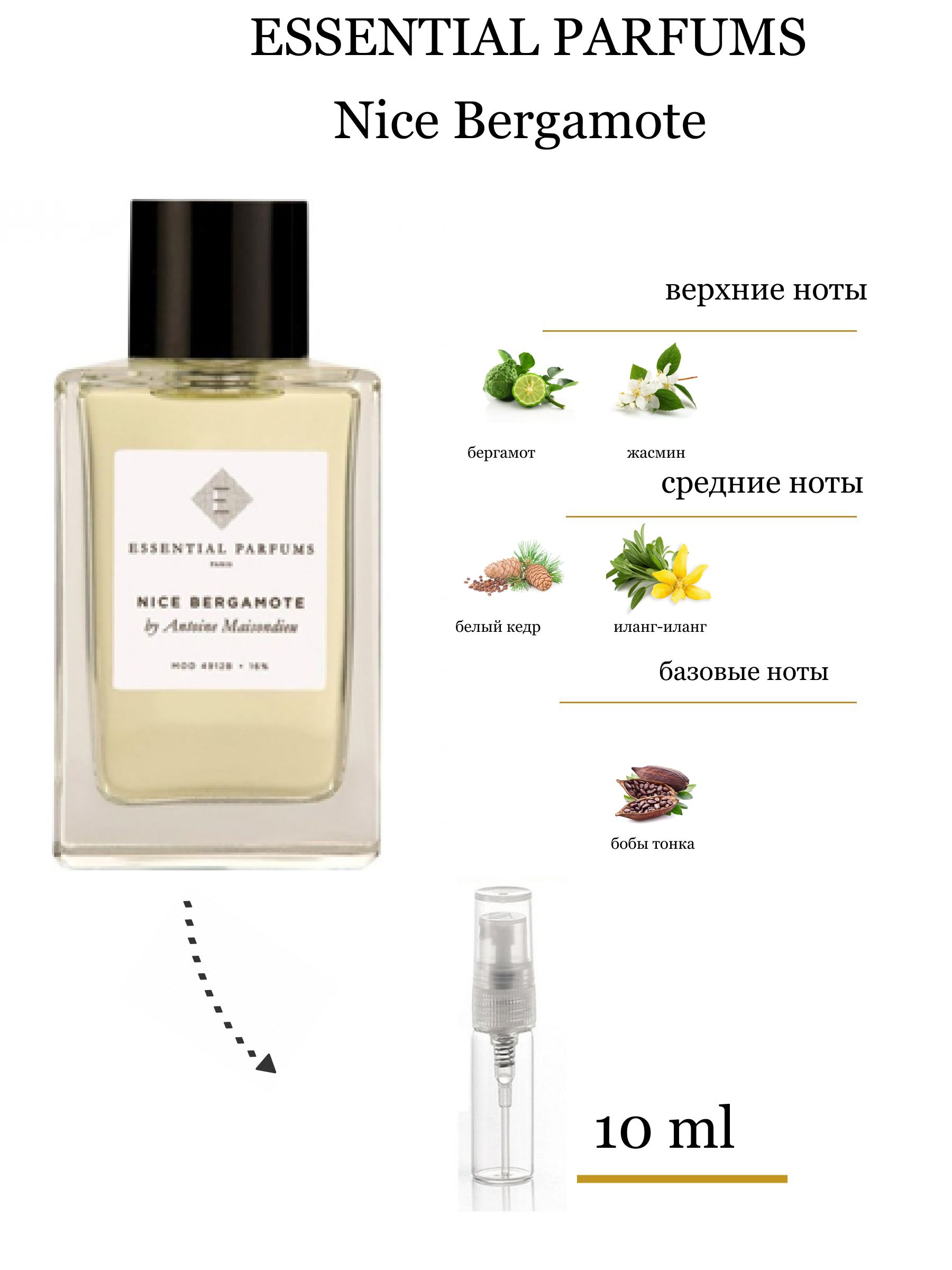 Essential parfums отзывы покупателей. Nice Bergamot Essential Parfums. Essential Parfums Paris nice Bergamote. Бергамот в парфюмерии.